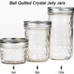 Ball Mason Quilted Crystal Jelly Jar 12oz/6er Set