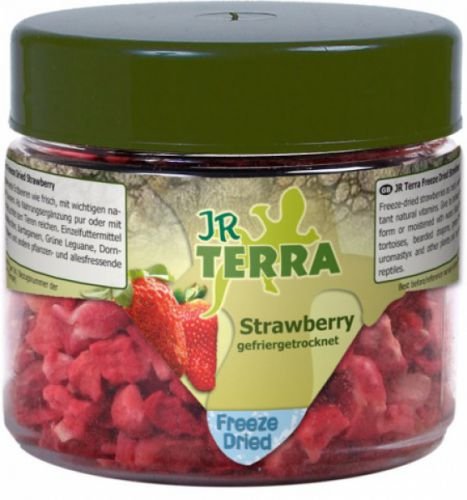 Terra Freeze Dried Strawberry Erdbeere
