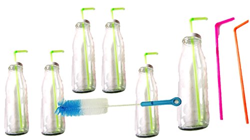 Trinkgläser Flaschen mit Deckel und Trinkhalm 6 Flaschen Gläser Set a 500 ml + Reinigungspinsel blau/rot