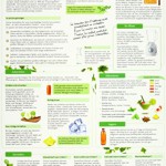 Grüne Smoothies in 5 Minuten (2016) -: Ideen und Anregungen um die gesunde Mini-Mahlzeit für die ganze Familie richtig zuzubereiten - (DINA4 - 2 Seiten - hochwertig, glänzend laminiert)