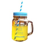Japace® Trinkglas mit Henkel , Farbigem Deckel und Trinkhalm für Saft , Cocktails , Smoothies , Geschabte und Milchshakes - Blau 500 ml