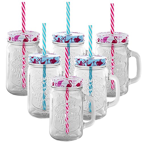 6er Set Trinkbecher Trinkgläser Flamingo 2 Desgins mit Deckel und Strohhalm - Trinkglas - Cocktailglas - Glas - Gläser - Füllmenge 450 ml