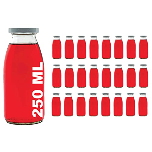 casavetro Milchflaschen Glasflaschen 250ml Likörflaschen 24 Stück Saftflaschen leere Smoothie Schraub-Verschluss Deckel TO 43 zum befüllen (24 x 250 ml)